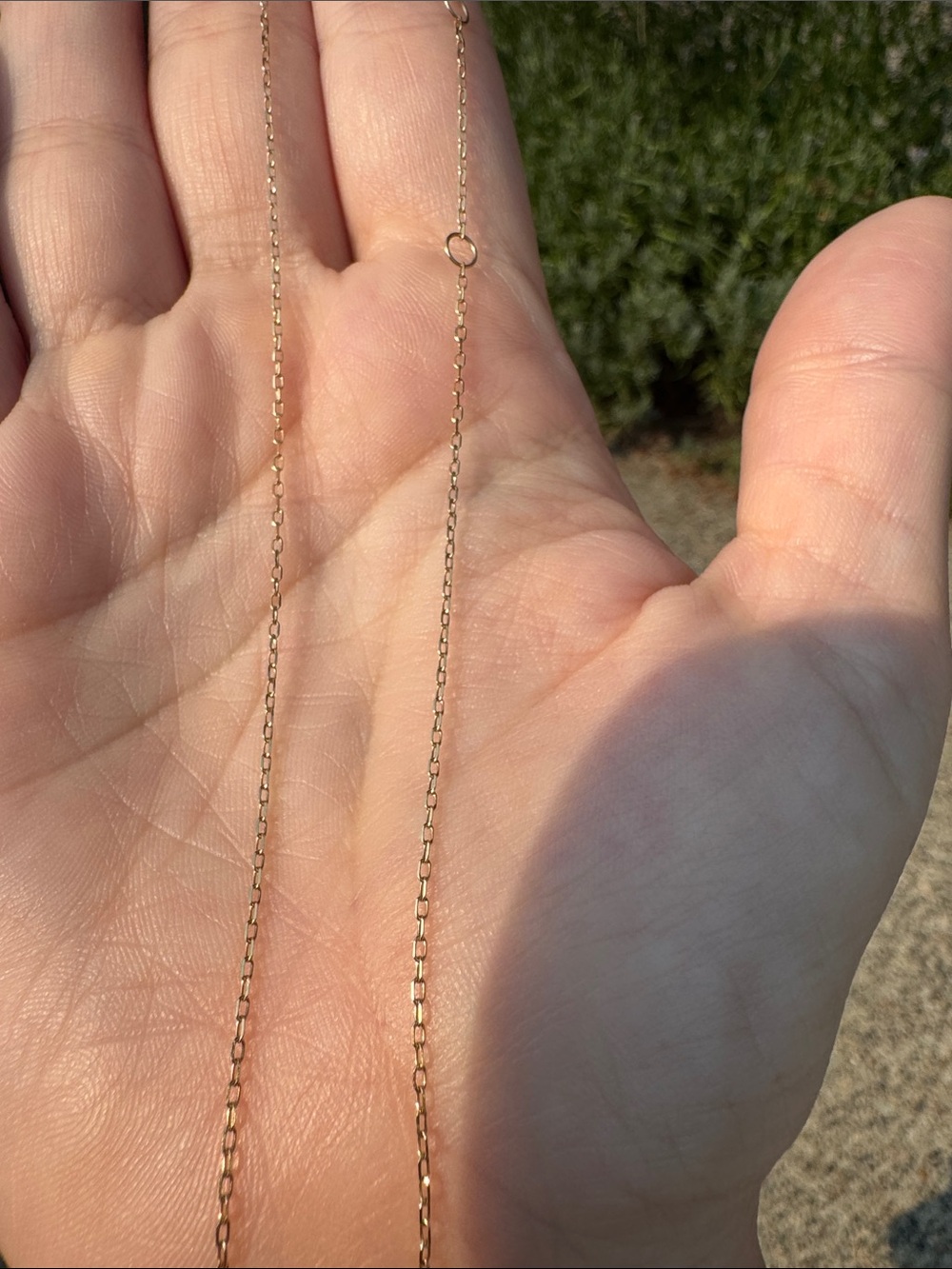Delicate Gold Chain Necklace - Lightweight Women's Jewelry - Picture 3 of 3